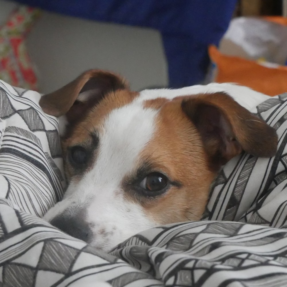 Meet your Posher, Francesca